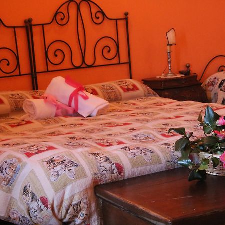Agriturismo Santa Margherita จอโยซามาเรอา ภายนอก รูปภาพ