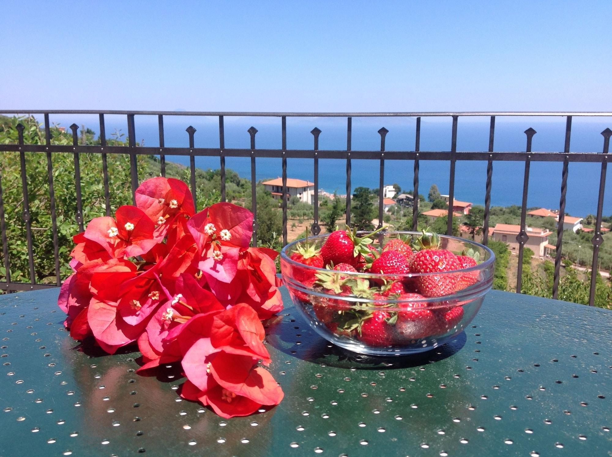 Agriturismo Santa Margherita จอโยซามาเรอา ภายนอก รูปภาพ