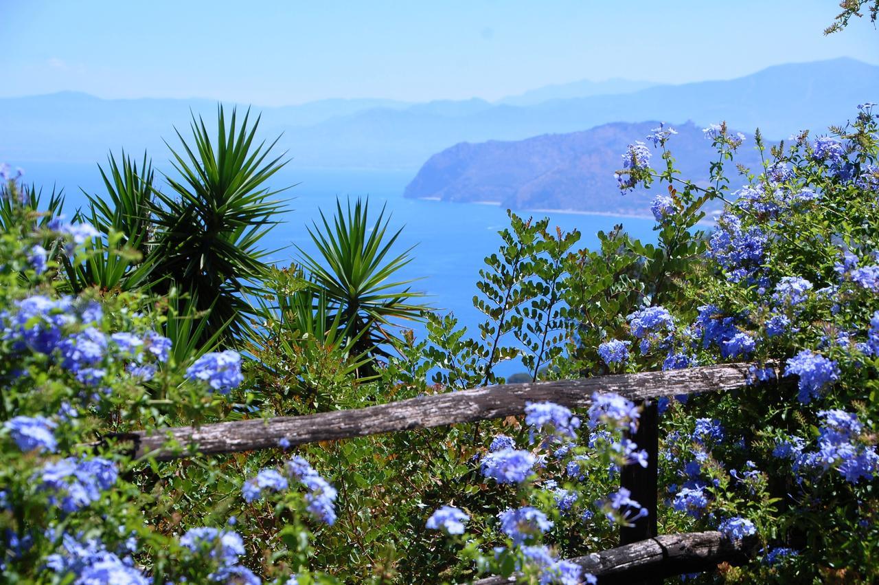 Agriturismo Santa Margherita จอโยซามาเรอา ภายนอก รูปภาพ