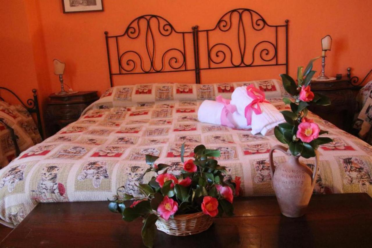 Agriturismo Santa Margherita จอโยซามาเรอา ภายนอก รูปภาพ